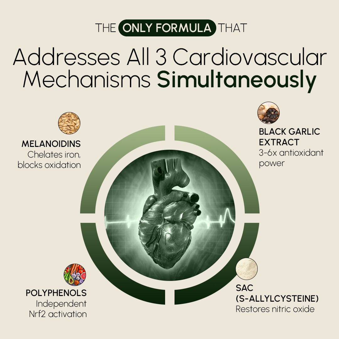 QoCore Premium Aged Garlic Formula